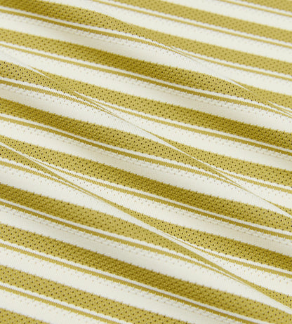Head Golf Engineer Stripe Polo - KHAKI/CREAM