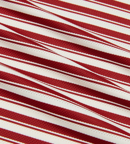 Head Golf Engineer Stripe Polo - SAVVY RED/CREAM